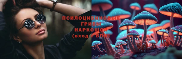 стафф Абинск