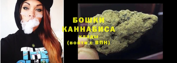 молекула духа Карпинск