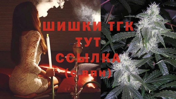 стафф Абинск