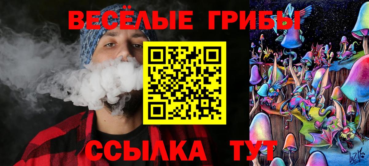 Новосибирск  Псилоцибиновые грибы Psilocybe  Вход с VPN  Галлюциногенные грибы ЛСД 